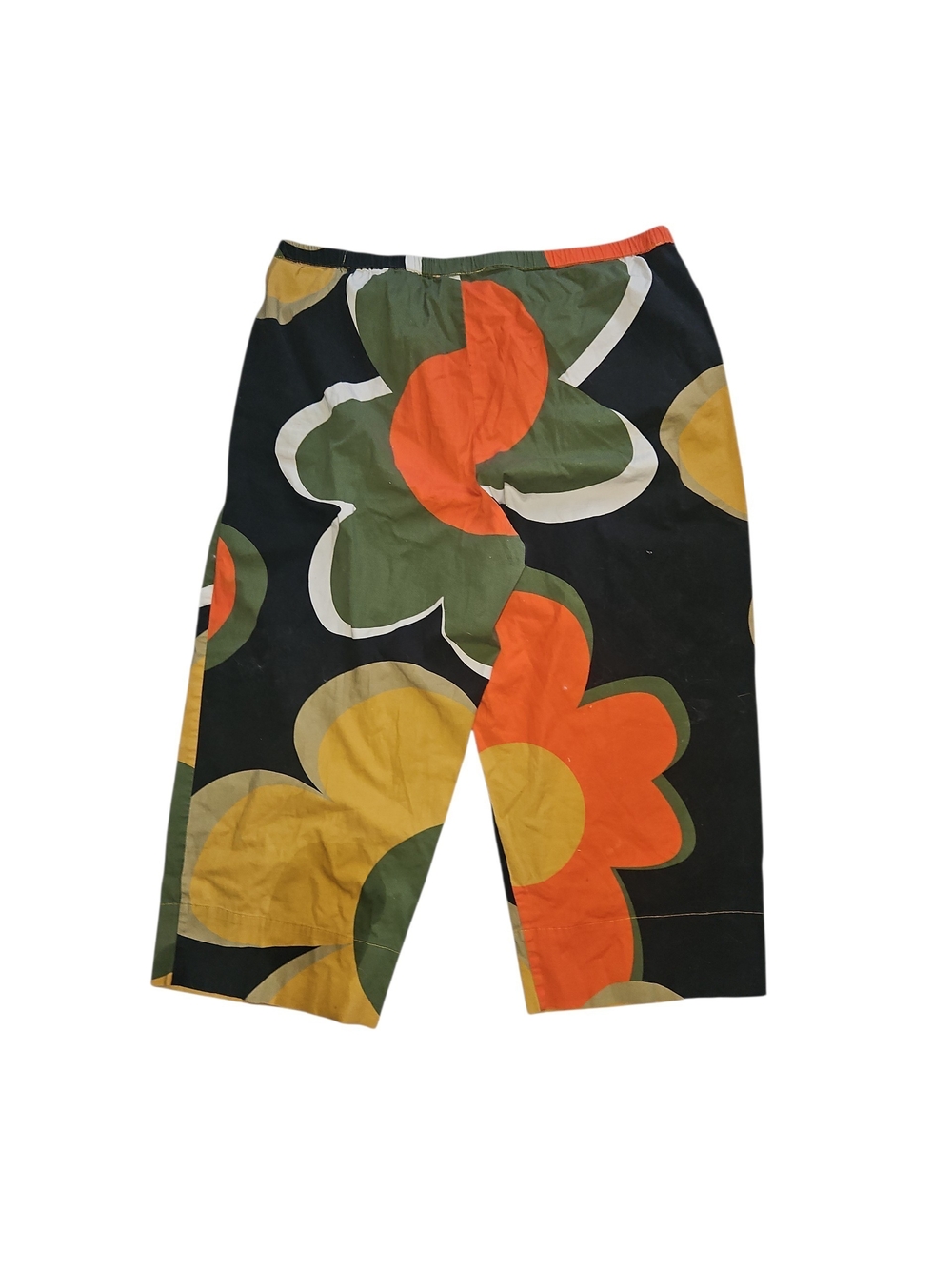 Alembika Groovy Cropped Floral Pants in Size Small